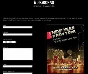 PUOI VINCERE UN VIAGGIO A NEW YORK PER IL CAPODANNO 2012/2013