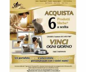 CESAR E SHEBA TI PREMIANO OGNI GIORNO