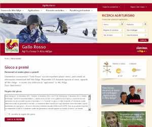 Gioco a premi Gallo Rosso 2012