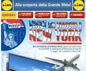 Vinci un viaggio a New York