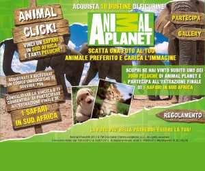 ANIMAL CLICK! VINCI UN SAFARI IN SUD AFRICA E TANTI PELUCHE!