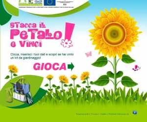 STACCA IL PETALO E VINCI