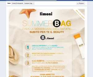 Summer Bag