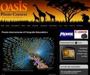 Oasis Photo Contest 2012