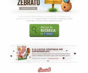 CERCA IL BISCOTTO ZEBRATO ONLINE