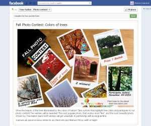 Fall Photo Contest: Colors of trees