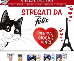 STREGATI DA FELIX