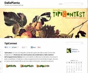 TipiContest