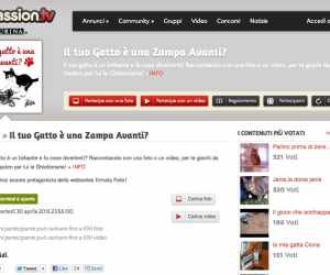 IL TUO GATTO È UNA ZAMPA AVANTI?