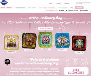 Extra - ordinary bag