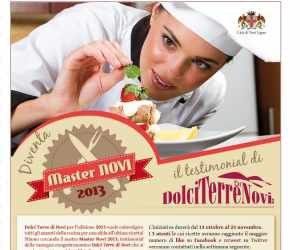 Master Novi 2013