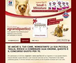 PICCOLI CANI, GRANDI PERSONALITA'
