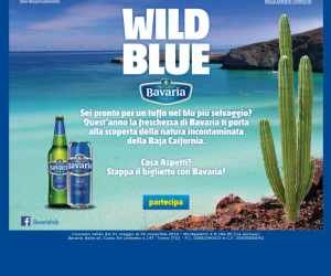 WILD BLUE