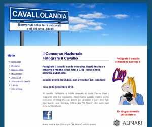 FOTOGRAFA IL CAVALLO