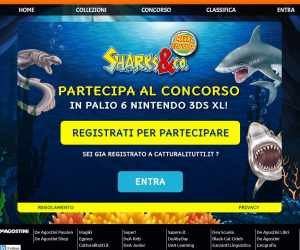 SHARKS & CO – MAXXI EDITION