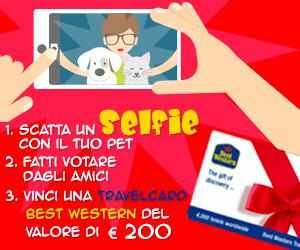 SCATTA UN SELFIE CON LUI