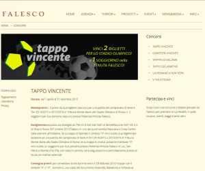 TAPPO VINCENTE 2015