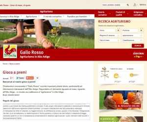 Gioco a premi Gallo Rosso 2015