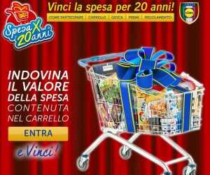 VINCI LA SPESA PER 20 ANNI