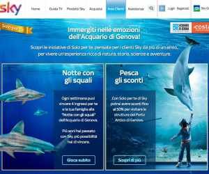 Una Notte con gli squali