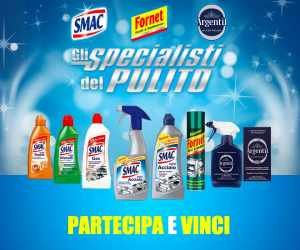 Gli Specialisti del Pulito