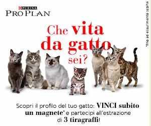Che vita da gatto sei - PROPLAN