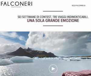 Spiriti Liberi Falconeri