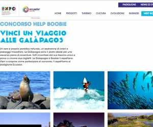 BOOBIE DANCE COMPETITION