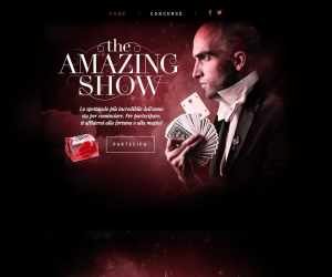 THE AMAZING SHOW