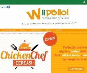 CHICKECHEF CERCASI