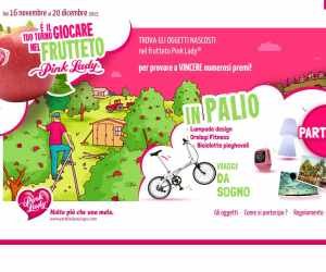 GRANDE CONCORSO NOVEMBRE Pink Lady®