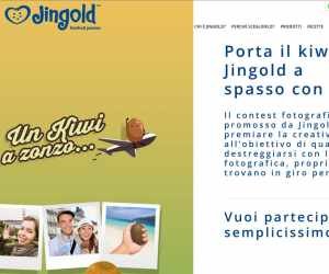 Jingold 2015 [Un kiwi a zonzo]