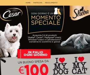 Momenti speciali con Cesar e Sheba