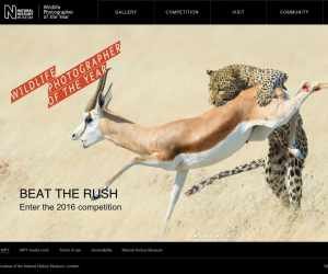 Wildlife Photographer of the Year 2015