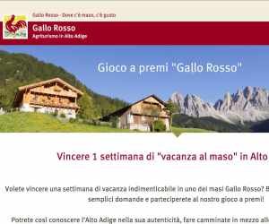 Gioco a premi Gallo Rosso 2016
