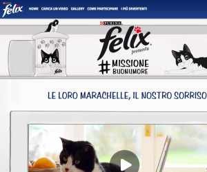 FELIX #MISSIONEBUONUMORE