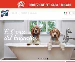 Vinci ogni giorno un anno di prodotti ACE