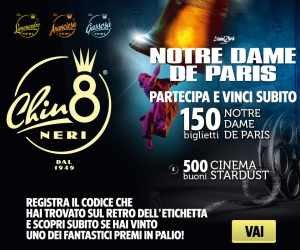 VINCI NOTRE DAME DE PARIS