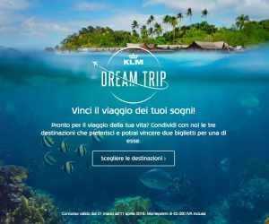 DREAM TRIP