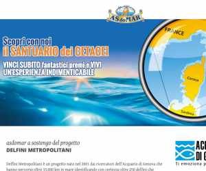 SCOPRI CON NOI IL SANTUARIO DEI CETACEI