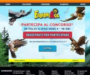 FALKONS&CO MAXXI EDITION