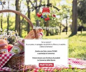 IL MIO PIC NIC