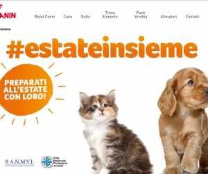 #ESTATEINSIEME