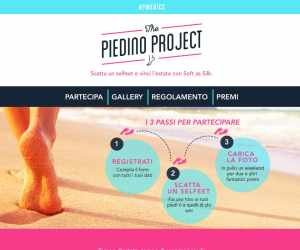 THE PIEDINO PROJECT
