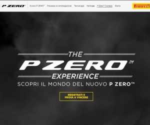 P ZERO EXPERIENCE