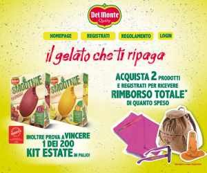 IL GELATO CHE TI RIPAGA