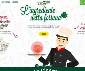 INGREDIENTE DELLA FORTUNA