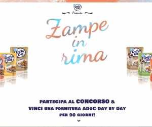 ZAMPE IN RIMA