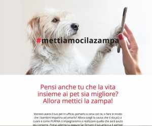 METTIAMOCI LA ZAMPA