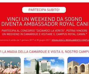 VINCI UN WEEKEND DA SOGNO E DIVENTA AMBASSADOR ROYAL CANIN